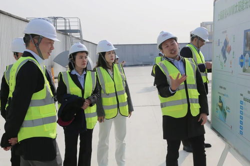 點亮綠色未來 上海家化跨越工廠正式啟用太陽能光伏發電